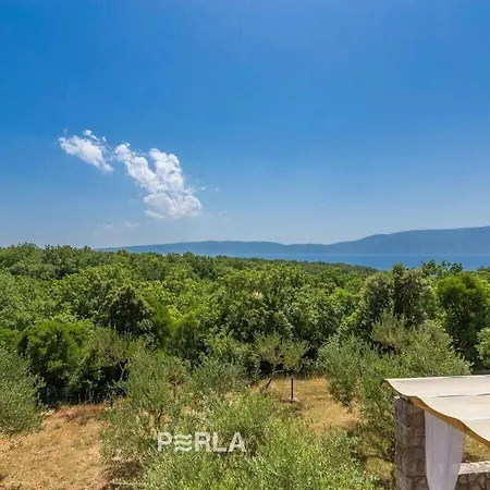 Nicki With Sea View And Pool Tatil Evi Pinezići