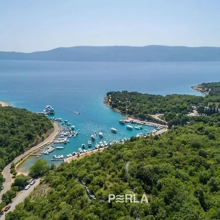 Nicki With Sea View And Pool Tatil Evi Pinezići